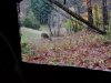 20191107_173434.jpg