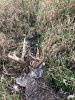Image1573223109.992536.jpg