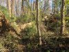 IMG_0494.JPG