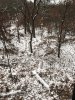 Image1573251040.157588.jpg