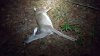 20191108_173258.jpeg