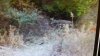 20191108_191617.jpg