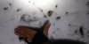 20191109_055919.jpg