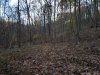 20191109_073157.jpg
