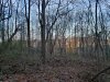 20191109_073205.jpg