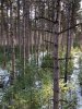 Image1573309562.242731.jpg