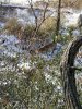 20191109_084158.jpg