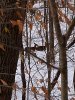 IMG_20191109_110420608.jpg