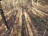 20191109_142246.jpg