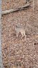 IMG-20191109-WA0003.jpeg