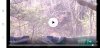 Screenshot_20191111-134451_Chrome.jpg