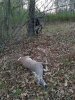 20191108_170054.jpeg