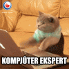 giphy (2).gif