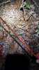 20191108_173144.jpeg