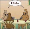 dog poker.jpg
