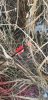 20191116_154553.jpeg