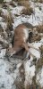20191116_161941.jpeg