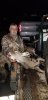 20191116_173614.jpeg