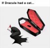 vamp cat.jpg
