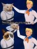 cat.jpg