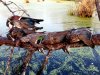 20191120_092655.jpeg