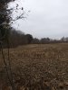 20191120_153017.jpg