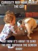 FB_IMG_1574344622672.jpg