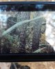 IMG_20191121_092912_246.jpg