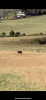 A588AEC8-9839-4C48-936D-998375B80D93.png