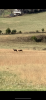 69E04349-0A63-4879-BB59-A091A8A0A230.png