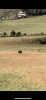 3EB09CFE-7C97-4E78-B8E4-C13A57A99979.png