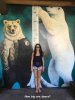 big bears.jpg