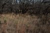 DSC_6746.jpg
