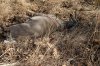 DSC_6748.jpg