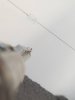 20191206_082527.jpeg
