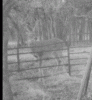 Tall Boy Shot 12-7-19.gif