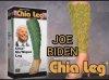 chia leg.jpg