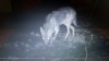 Screenshot_2019-12-14-07-30-29.png