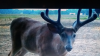 Screenshot_2019-12-14-07-31-31.png