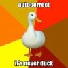 duck.jpg