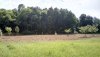 IMG_20190805_163943_hdr.jpg