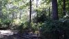 20190919_155116.jpg