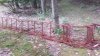 20190824_142826.jpg