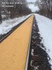 corn leak.jpg