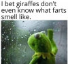 giraffe.png