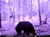 A951A063-4CB1-4E9E-8AC0-771DA3912641.jpeg
