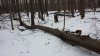 20200131_150106.jpg