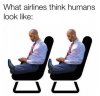 airlines.jpg