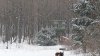 20190218_130808.jpg