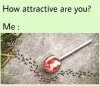 attractive.jpg